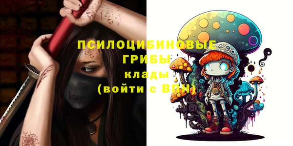 сатива Лагань