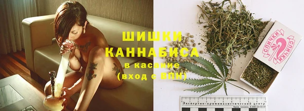 сатива Лагань