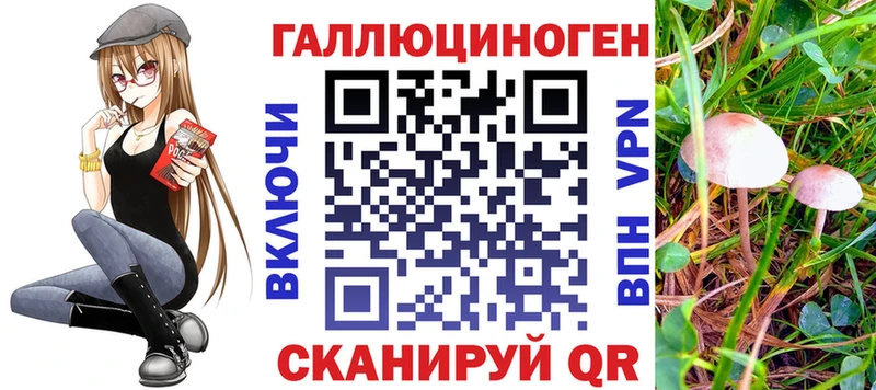 Псилоцибиновые грибы прущие грибы  цена наркотик  Новоульяновск 
