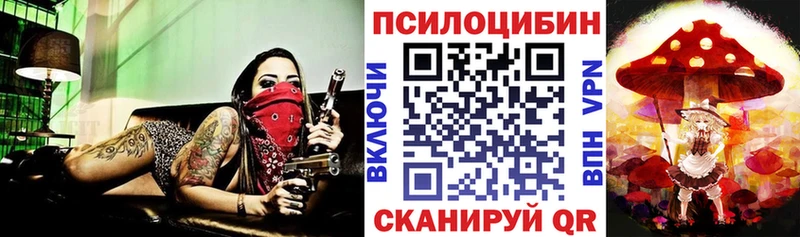Галлюциногенные грибы GOLDEN TEACHER Новоульяновск